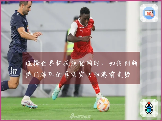 选择世界杯投注官网时，如何判断热门球队的真实实力和赛前走势