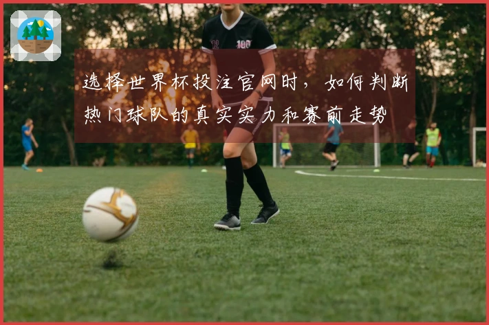 选择世界杯投注官网时，如何判断热门球队的真实实力和赛前走势