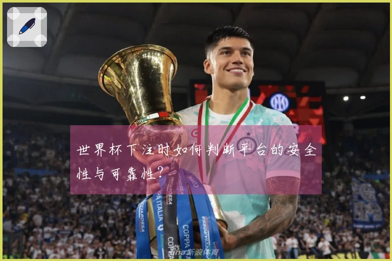 世界杯下注时如何判断平台的安全性与可靠性？