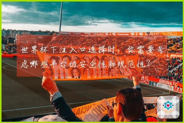 世界杯下注入口选择时，你需要考虑哪些平台的安全性和规范性？