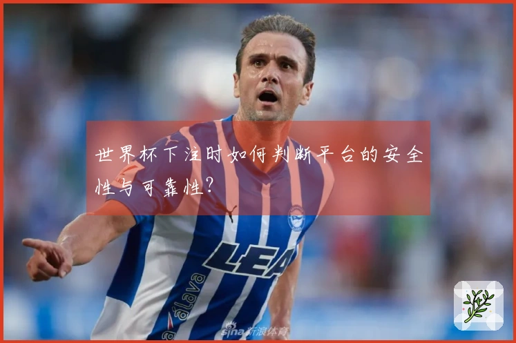 世界杯下注时如何判断平台的安全性与可靠性？