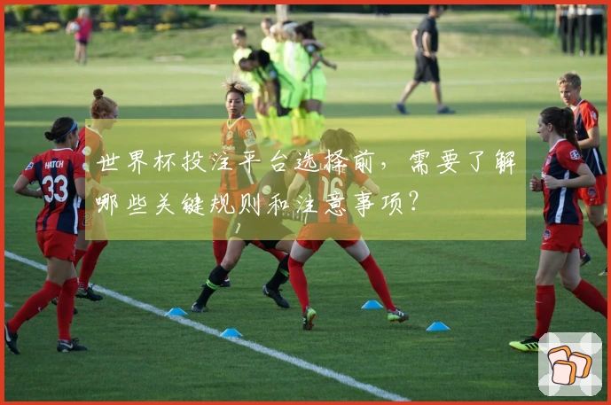 世界杯投注平台选择前，需要了解哪些关键规则和注意事项？